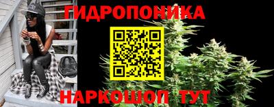 гашик Вязники