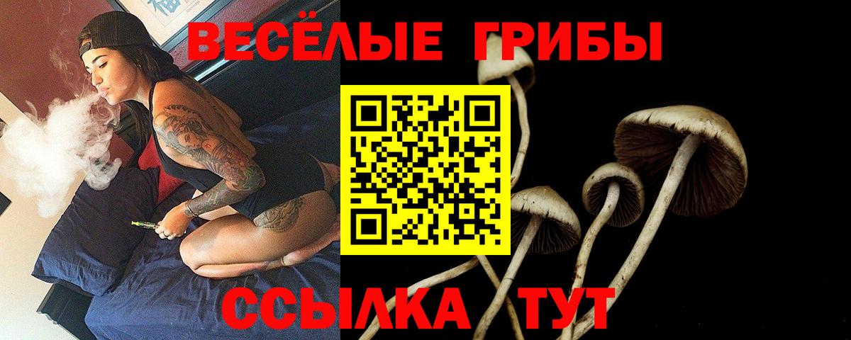 Выборг  наркошоп  Псилоцибиновые грибы GOLDEN TEACHER  Вход с VPN  Галлюциногенные грибы ЛСД 